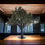 Nila: Artificial Olive Tree Indoor - Realistic Olive Tree - Giant Artificial Trees