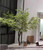 Maple: Green Artificial Maple Trees - Large Faux Trees Indoor - Faux Maple Tree