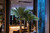 Experience the allure of the tropics with Paco's lifelike artificial palm trees. Our imitation palm tree collection boasts stunning realism, ideal for enhancing indoor and outdoor spaces alike. Crafted with meticulous attention to detail, these artificial palms feature authentic textures and vibrant greenery, bringing a touch of natural elegance to any environment. Versatile in design and placement, they offer endless possibilities for creating lush tropical oases in residential, commercial, and hospitality settings. With Paco's artificial palm trees, enjoy the beauty of the tropics year-round, without the maintenance hassles of real plants.