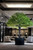 faux indoor plants trees Fake interior trees offer a convenient and versatile solution for adding greenery to indoor spaces without the need for ongoing maintenance. These lifelike artificial trees bring the beauty of nature indoors, enhancing the ambiance of homes, offices, and commercial settings alike. With realistic foliage and durable construction, fake interior trees provide year-round greenery without the hassle of watering, pruning, or dealing with pests. Available in various sizes and styles, they can be easily customized to suit any decor scheme, offering endless possibilities for creating inviting and aesthetically pleasing environments that require minimal upkeep.