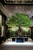 best artificial trees for indoors Fake interior trees offer the perfect solution for adding greenery to indoor spaces without the hassle of maintenance. With lifelike foliage and realistic designs, these artificial trees bring the beauty of nature indoors, enhancing the ambiance of homes, offices, and commercial spaces. Whether used as standalone accents or incorporated into larger interior design schemes, fake interior trees offer endless possibilities for creativity and customization. From towering palm trees to delicate bonsais, there's a variety to suit every aesthetic preference and space requirement. With their durability and ease of care, fake interior trees provide lasting beauty and greenery year-round.