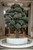 The Cloud Pine Tree Artificial brings the majestic beauty of pine trees into your space with unparalleled realism. Perfect for those who appreciate the elegance of pine trees but seek a maintenance-free alternative, these imitation pines replicate the intricate details of nature's design. From the texture of the bark to the delicate arrangement of needles, every aspect is crafted to mimic a realistic pine tree. Ideal for both indoor and outdoor settings, these faux pines add a serene, evergreen presence year-round, enhancing any environment with their natural charm and stately appearance, without the hassle of real tree upkeep.