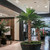 Transform hotel interiors with our realistic artificial palm trees. Crafted to perfection, these lifelike replicas evoke the lush beauty of natural palms, enhancing the ambiance of lobbies, atriums, and poolside areas. With meticulously detailed fronds and sturdy trunks, our artificial palms exude elegance without the maintenance. Ideal for high-traffic areas, they offer a welcoming tropical touch that captivates guests year-round. Elevate the guest experience with the timeless allure of our realistic artificial palm trees, creating a luxurious retreat that transports visitors to paradise, all while ensuring lasting beauty and minimal upkeep for hotel staff.