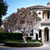 outdoor artificial cherry tree