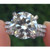 Isabella: Luxury Diamond Engagement Ring .4.50ct Round Brilliant Diamond