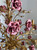 The Rosamund Manor Candelabra: A Bridgerton-Inspired Regency Romance & Luxurious Cottagecore Sanctuary of Velvet Roses, Gilded Chandelier Splendor, and Timeless Pastoral Elegance