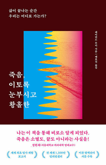 죽음, 이토록 눈부시고 황홀한  Life After Life