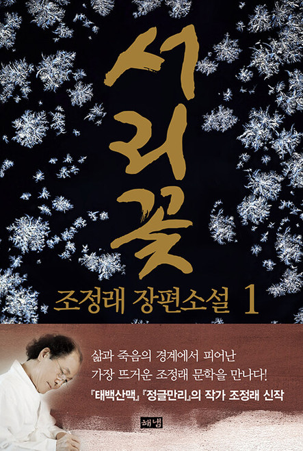서리꽃 1  Frost Flowers