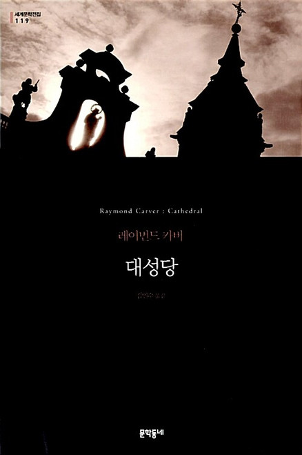 대성당 (무선) - 개정판  [문학동네 세계문학전집 119]  Cathedral