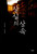 [중고] 상실의 상속   The Inheritance of Loss