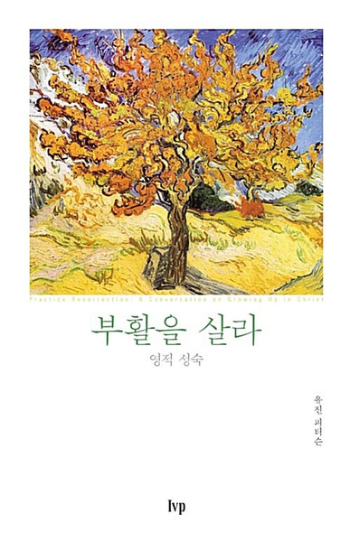부활을 살라 (반양장) - 영적 성숙 Practice Resurrection
