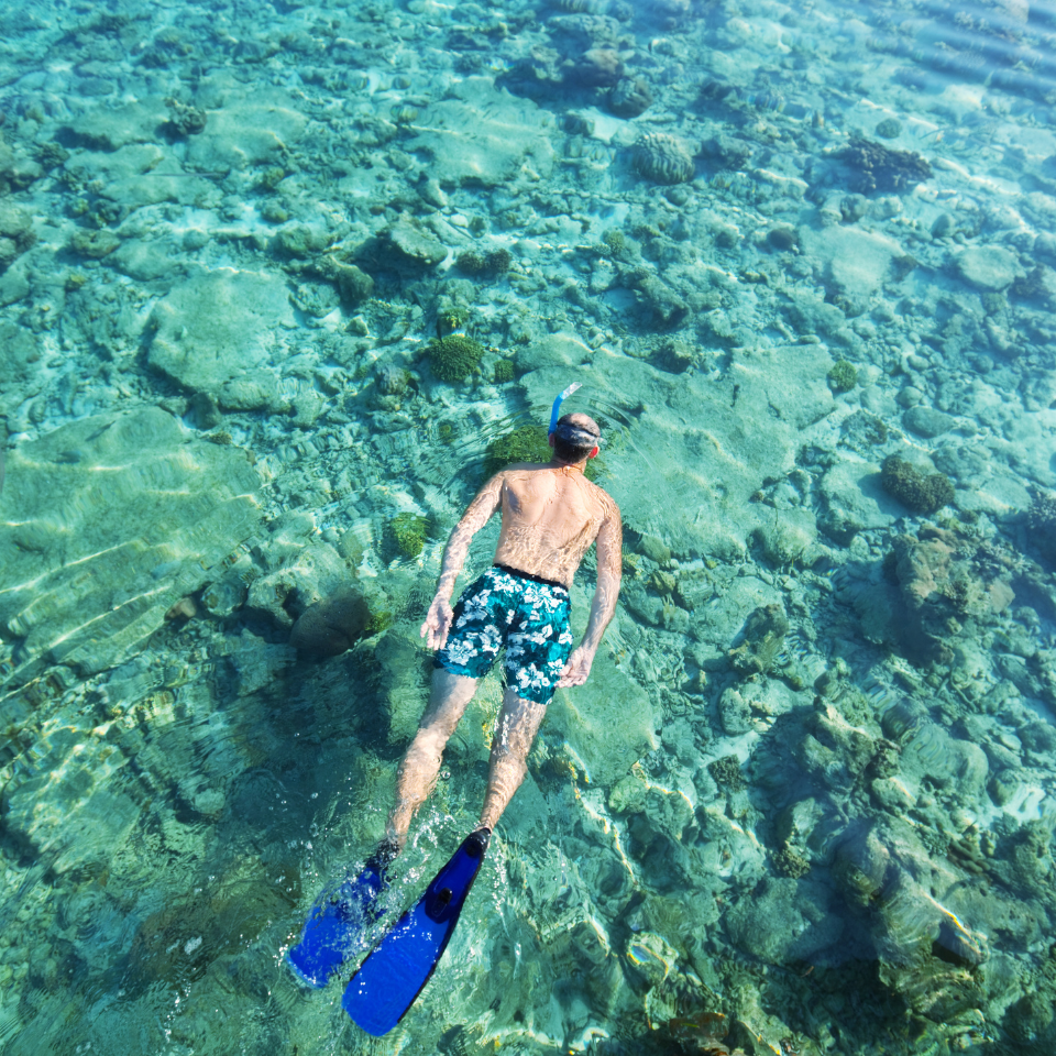 Universal Prescription Snorkeling Mask Insert vs. Custom Dive Lenses