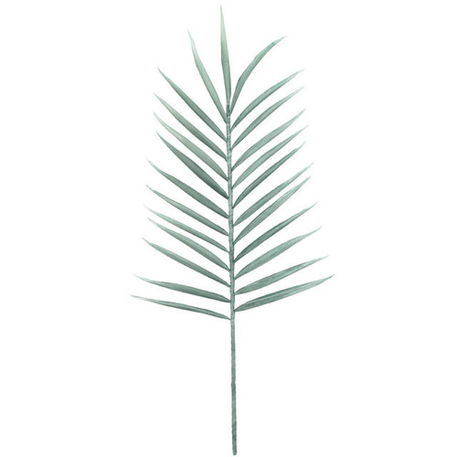 NF Living Date Palm Sage 100cm