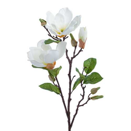 KochandCo Magnolia Open Flower Bud White 71cm