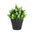 Want Home and Gift Potted Artificial White-Flowering