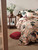 Tillie Quilt Cover Set - Brandy