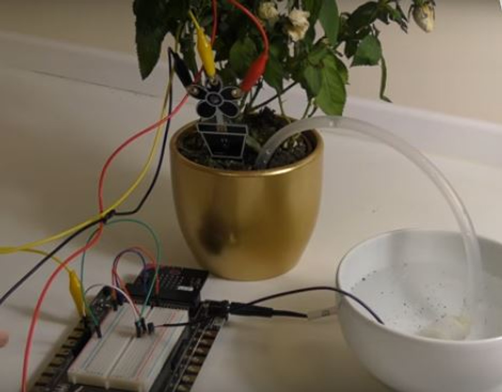 Micro:bit Automatic Watering System