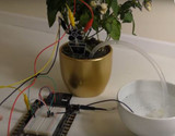 Micro:bit Automatic Watering System