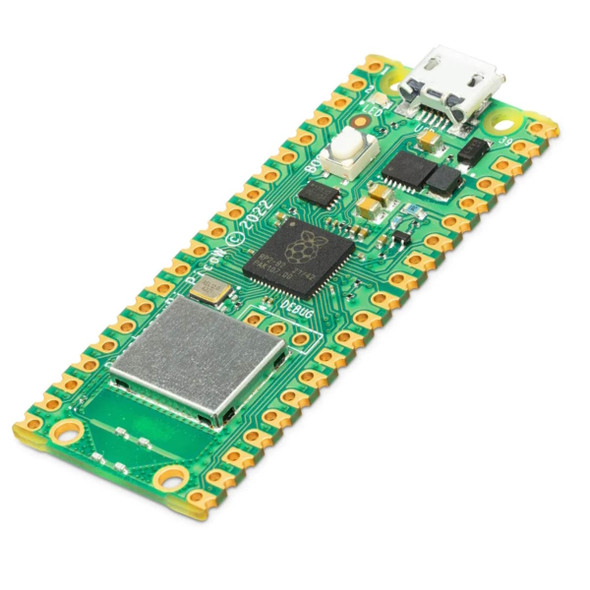 Raspberry Pi Pico W Processor Board