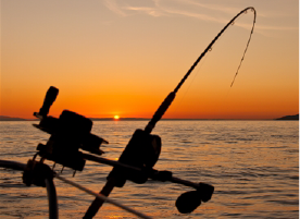 Hydraulic Jack Plates on Fishing Boats