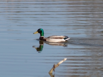 Hunting & Fishing Blogs