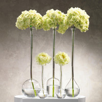 Finchem Long Neck Ball Glass Vase - Vase Side View | Bone & Brass