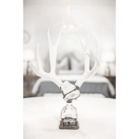 Double Large Geode Decorative Antler Bottle, view 6