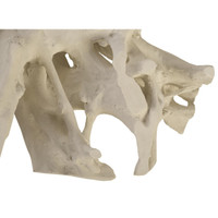Off-white Roman Stone resin coffee table base with a natural, root-inspired design.