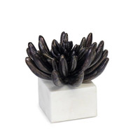 Succulent Sculpture 2 - Blackened Zinc | Bone & Brass