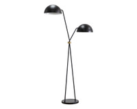 Faven Black Floor Lamp