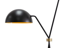 Faven Black Floor Lamp
