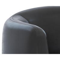 Trine Dark Brown - Vintage Black Night Leather Lounge Chair, view 10
