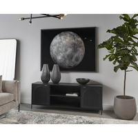 Aziza Black Metal & Brass Media Storage Cabinet, view 2
