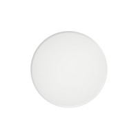 Iolite White Coffee Table
