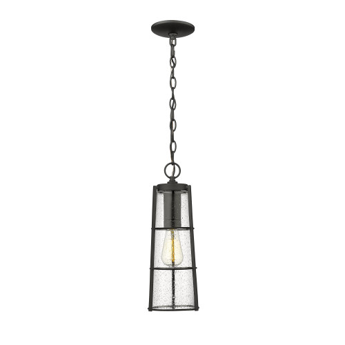 Black Helix Seedy Glass Outdoor Pendant