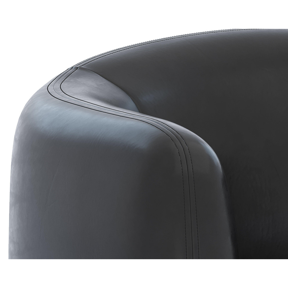 Trine Dark Brown - Vintage Black Night Leather Lounge Chair, view 10