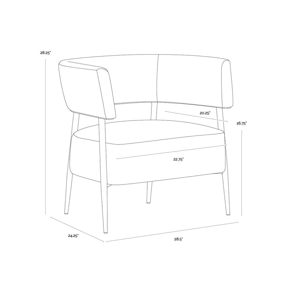 Maestro Danny Rust Lounge Chair, view 4