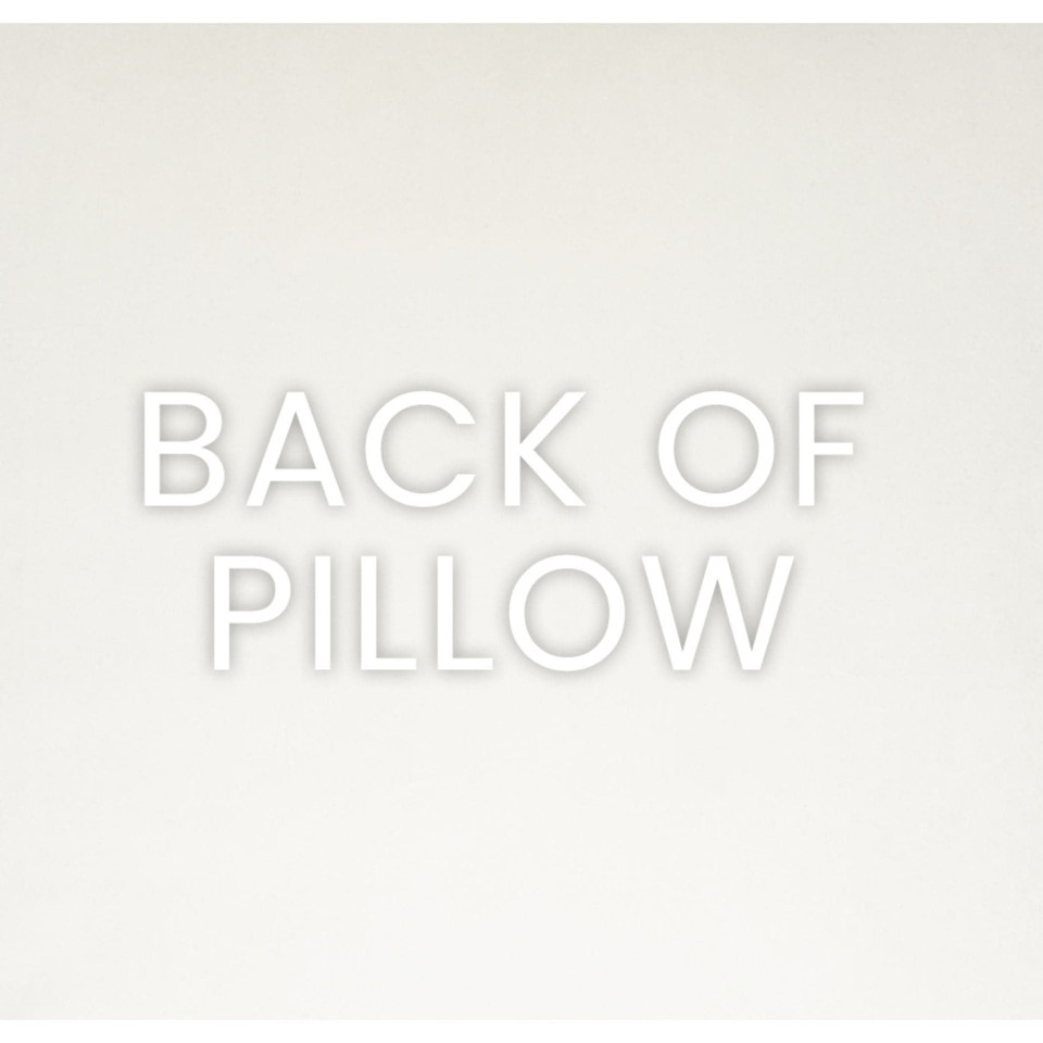 Back of the Brix Mist Throw Pillow, featuring a seamless zippered cover on a light, textured polyester fabric.