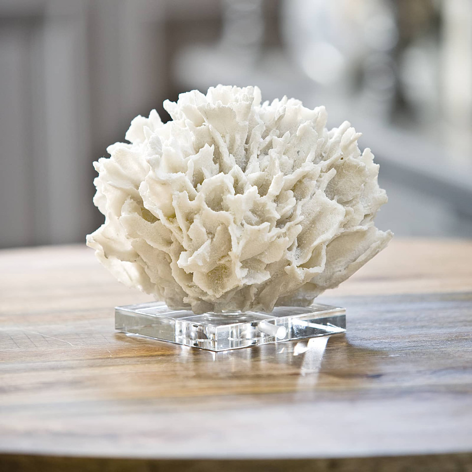 Ribbon White Coral Decorative Accessory, view 2
