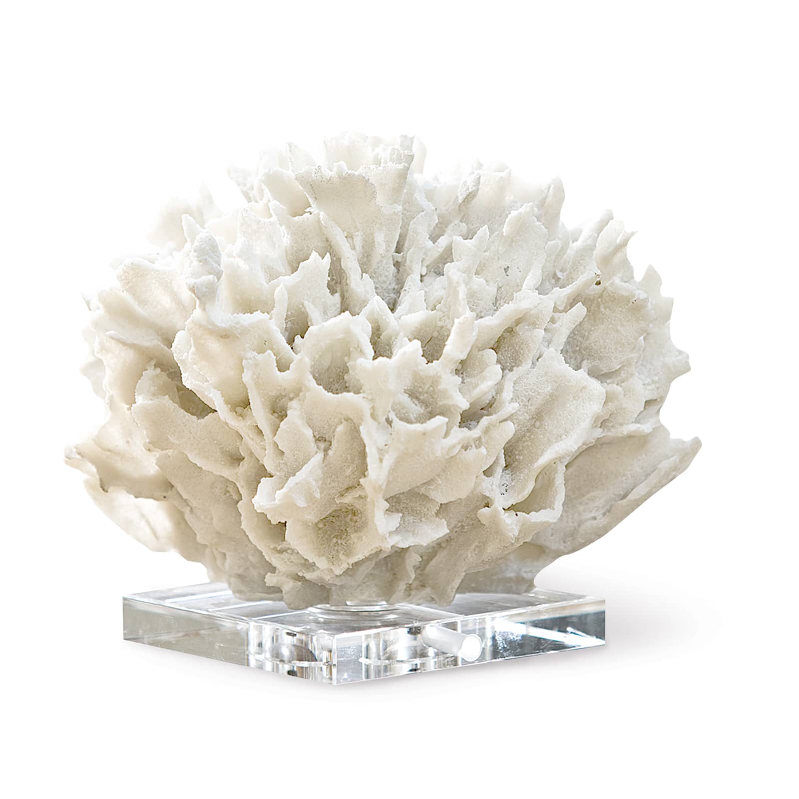 Ribbon White Coral Decorative Accessory