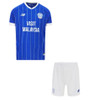 25/26 Cardiff Home Kids Kit with free name and number