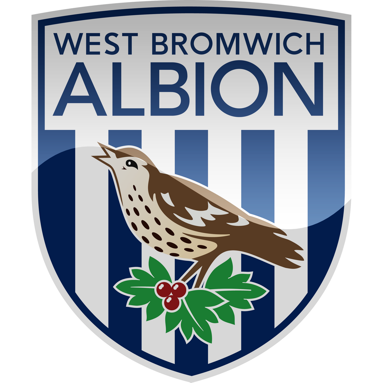 West Bromwich adult