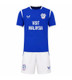 26/27 Cardiff Home Kids Kit with free name and number