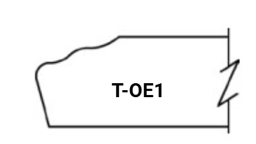 T-OE1