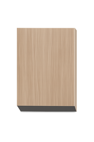 TFL Slab Door