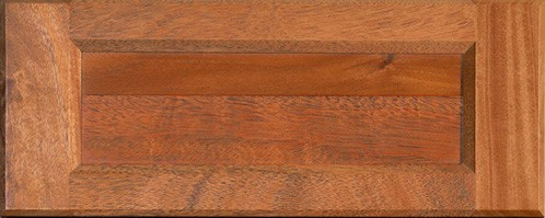 Cabinet Door
