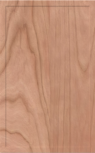 Newbury Cabinet Door — finish B