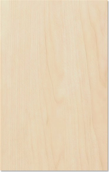 Valencia cabinet door — Paintable Hardwood