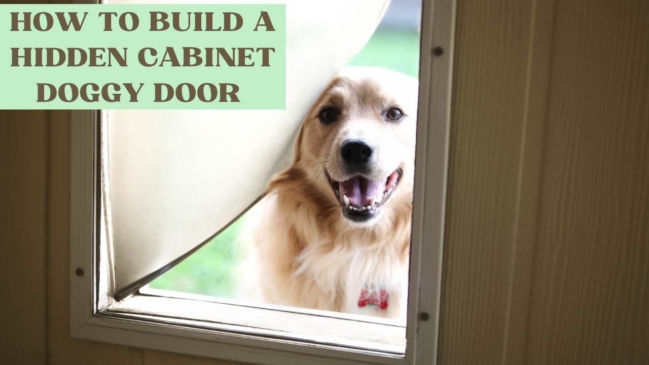 How to Build a Hidden Doggy Door Now