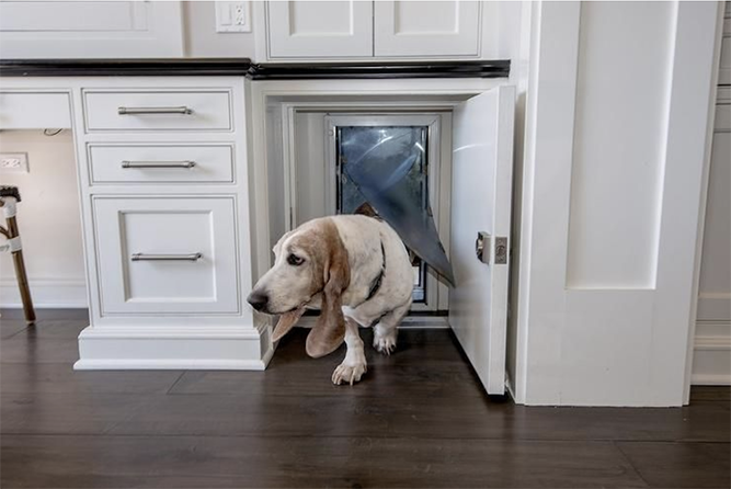 How To Build A Hidden Cabinet Doggy Door Cabinet Now